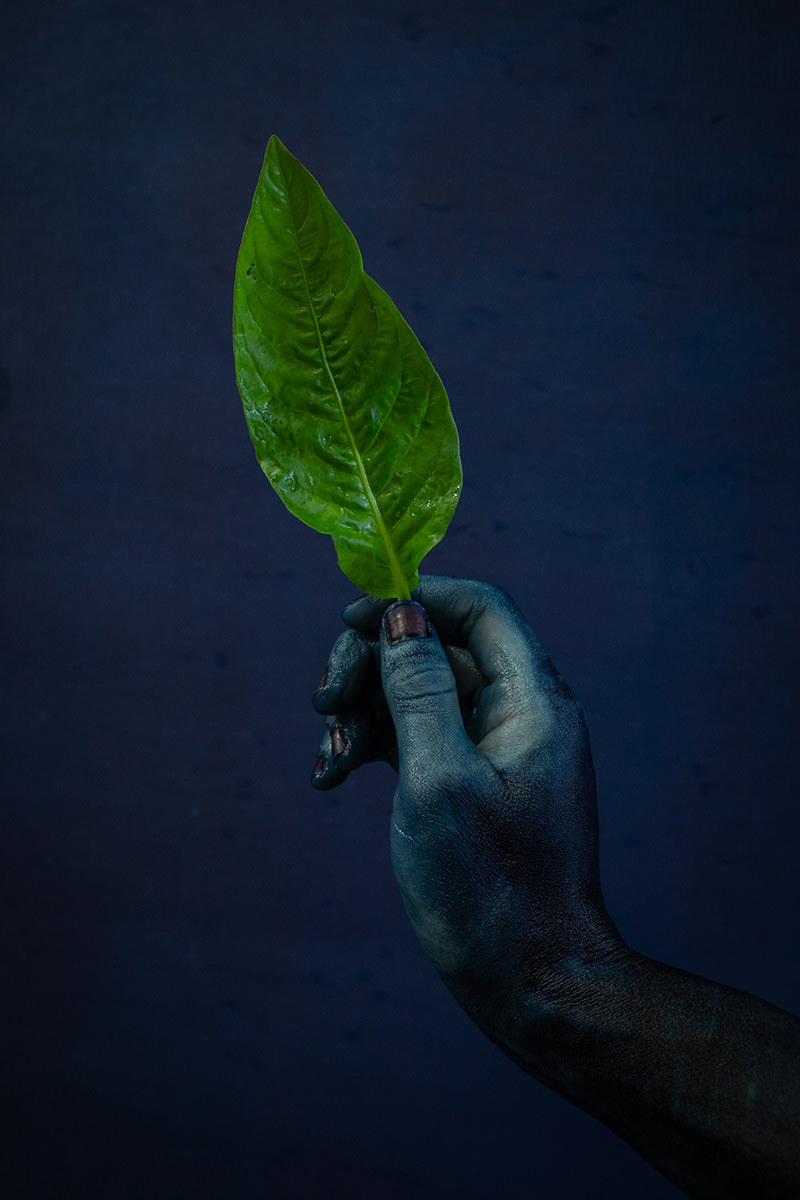 藍師・染師 BUAISOU